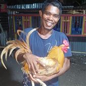 Soi