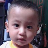 Tải