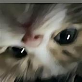 Các