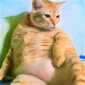 Lươ