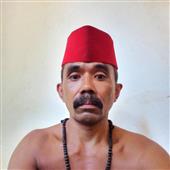 Giả