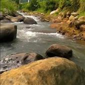 Kho