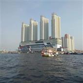 Tự 