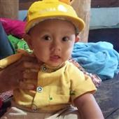 biể