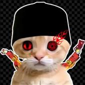 Bác