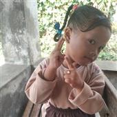 VỪN