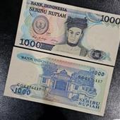 Dự 