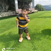Phư