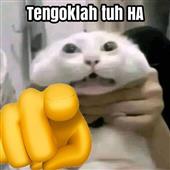 Soi