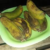Hồi