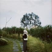 Dạo