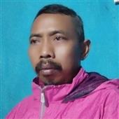 NGŨ