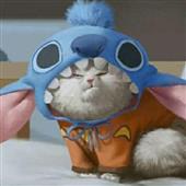 Kèo