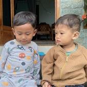 Dự 