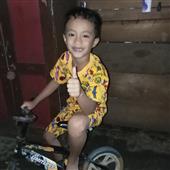 Giả