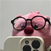 Pli