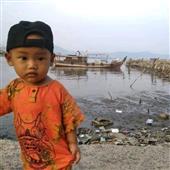 Gấu