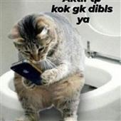 Nhả