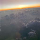 Sự 
