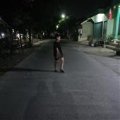 Bầu