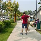 Nhậ