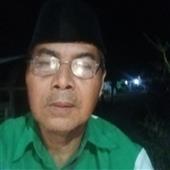 giả
