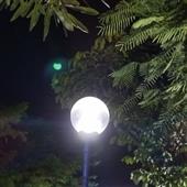 Câu