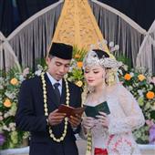 Bản