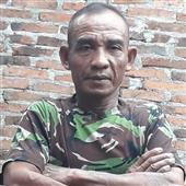 Ngọ