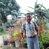 Bầu