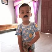Giả