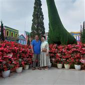 Bón