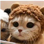 For