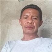 Wol