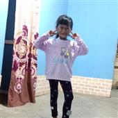 Ngọ