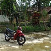 Cướ