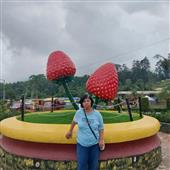 Phù