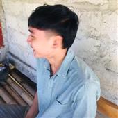 Chỉ