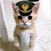 Sup