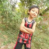 Yến
