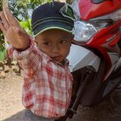 Dự 