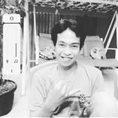 Gấu