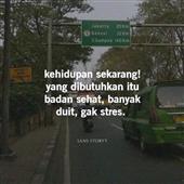 Gấu