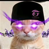 Tar