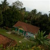 G-K