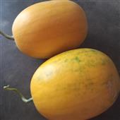 Biể