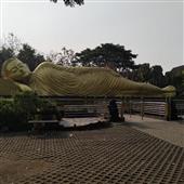CỪU