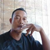 bò 