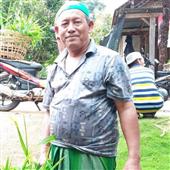 Bản