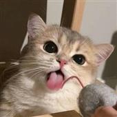 Poi